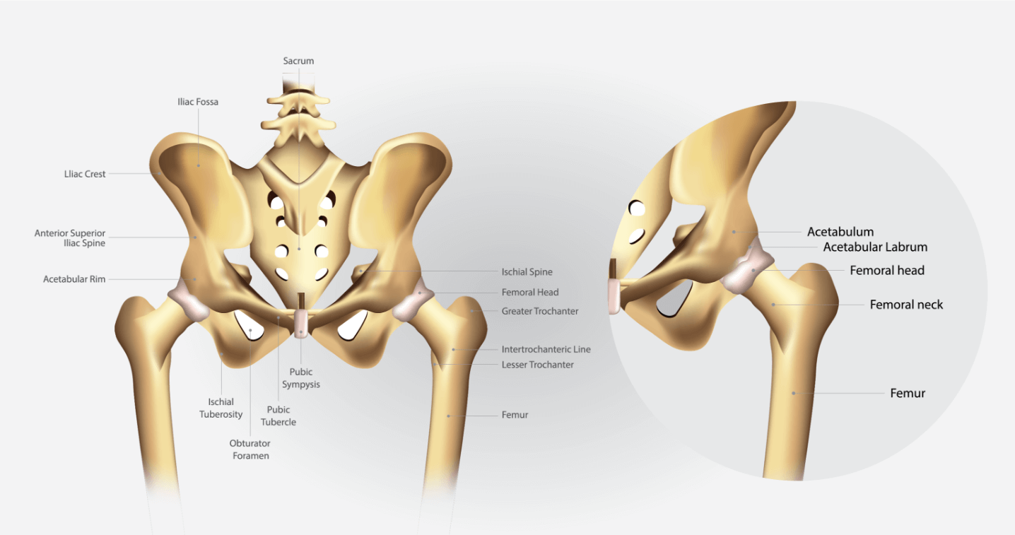 Total Hip Replacement Surgery