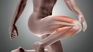 Ortho Precision | Dr Yas Edirisinghe | Ashford | Stepney | North Adelaide | Elizabeth Vale | South Australia